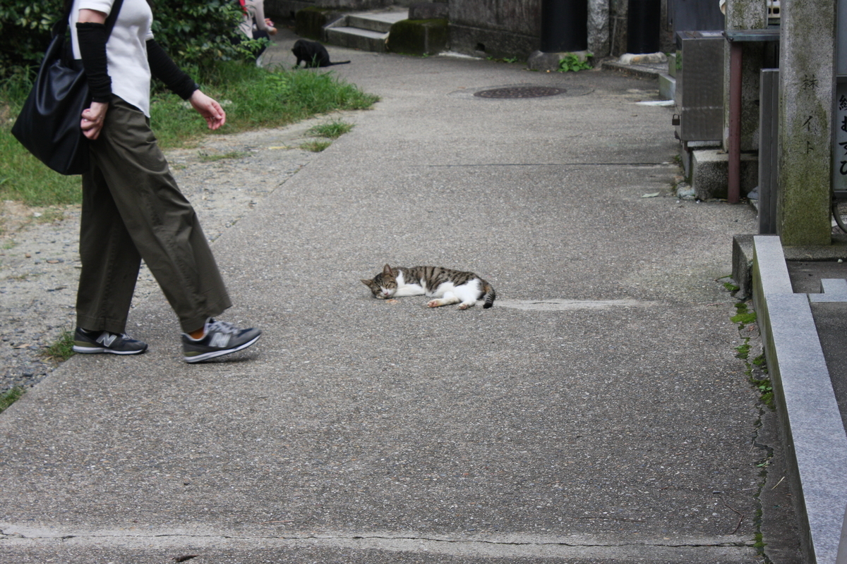 f:id:AkatsukiDiary:20210923211459j:plain