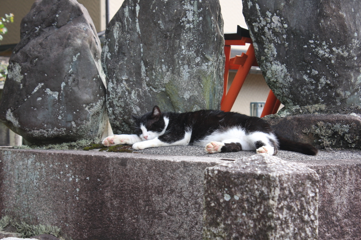 f:id:AkatsukiDiary:20210923211501j:plain