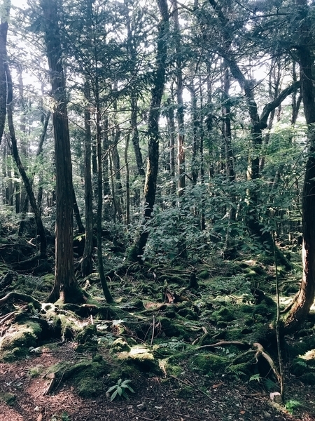 f:id:Akemi83:20190821225427j:plain