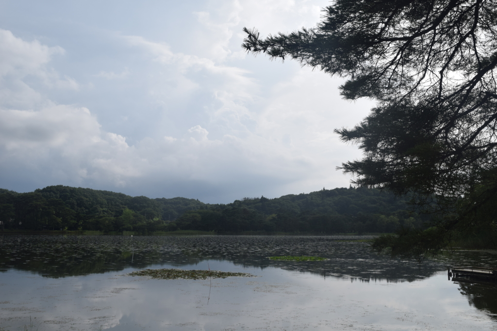 f:id:AkeruE:20160817134953j:plain