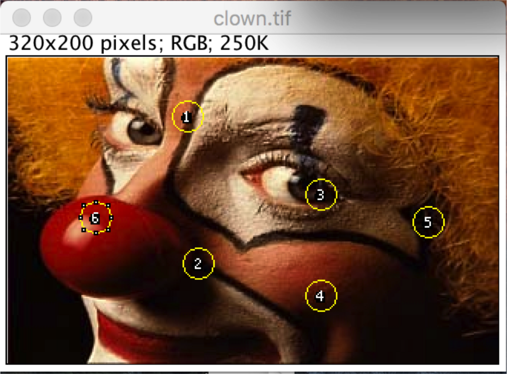 f:id:Aki-Miya:20180116083807p:plain f:id:Aki-Miya:20180116083807p:plain