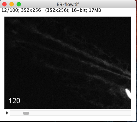 f:id:Aki-Miya:20180216125046p:plain f:id:Aki-Miya:20180216125046p:plain