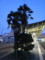 [鉄道][黄昏]