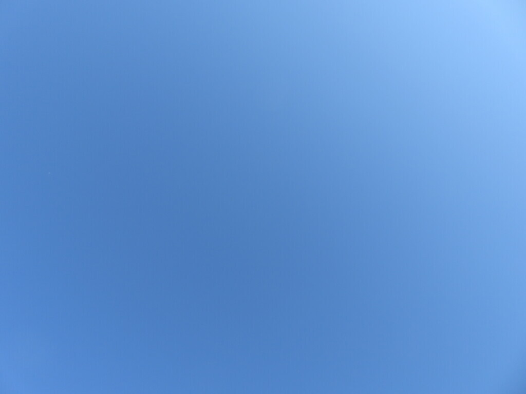 [空]