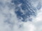 [空]