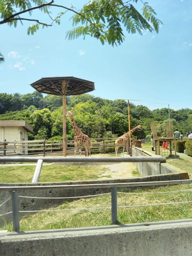 f:id:AkiReisen:20190425172919j:plain