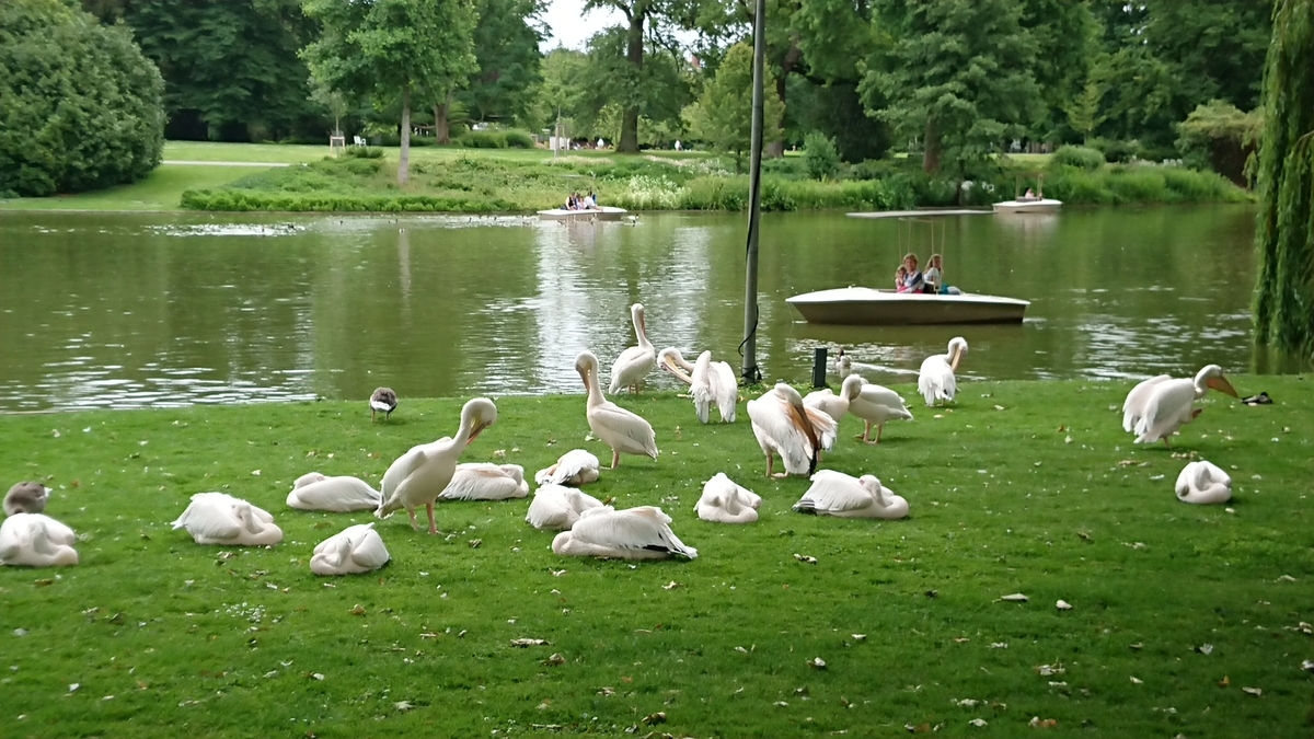 f:id:AkiReisen:20190613220425j:plain f:id:AkiReisen:20190613220425j:plain