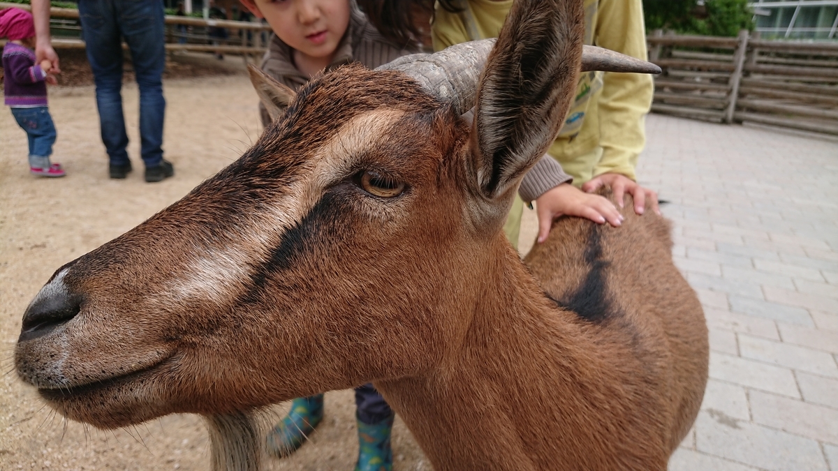 f:id:AkiReisen:20190614003858j:plain f:id:AkiReisen:20190614003858j:plain