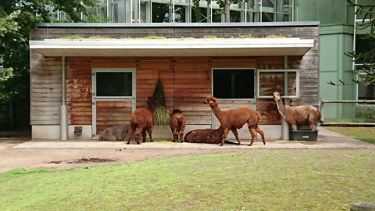 f:id:AkiReisen:20190614004508j:plain f:id:AkiReisen:20190614004508j:plain
