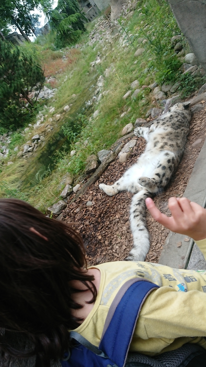 f:id:AkiReisen:20190614013011j:plain f:id:AkiReisen:20190614013011j:plain