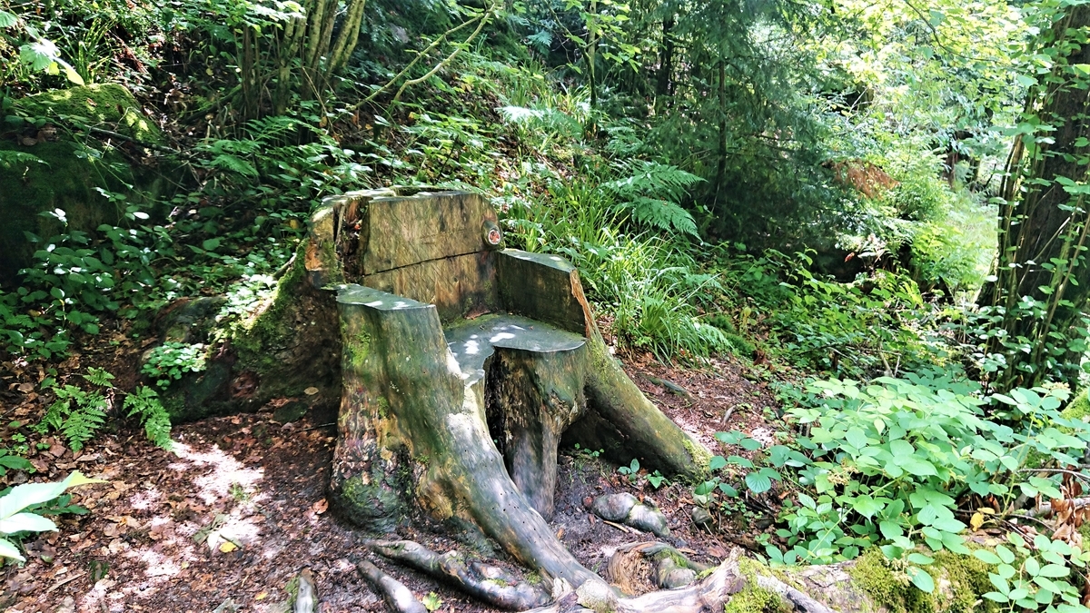 Schwarzwald Allerheiligen-Wasserfälle