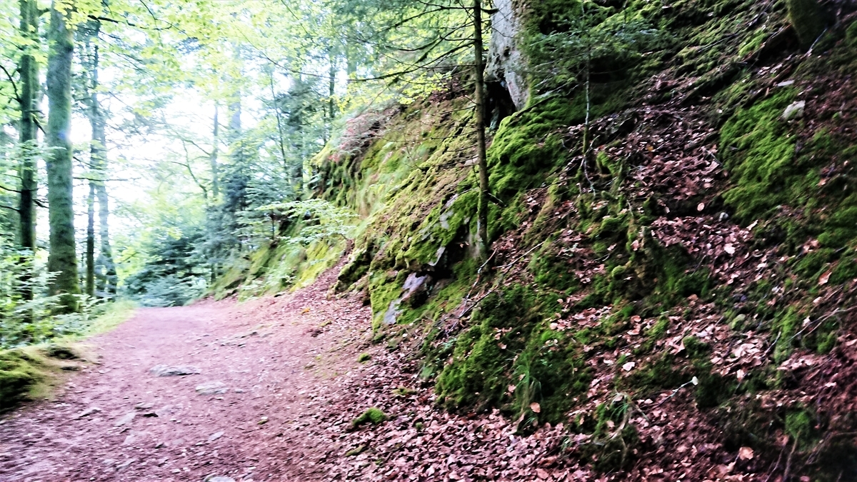 Schwarzwald Allerheiligen-Wasserfälle　SagenWeg