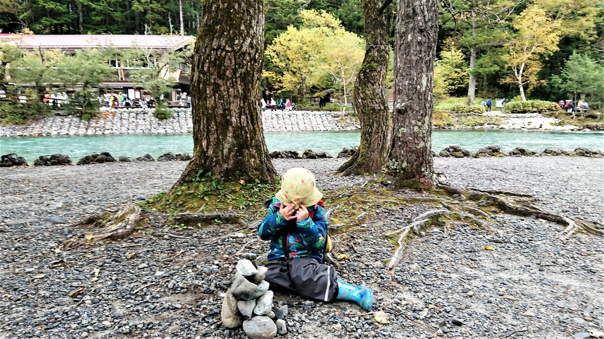 日本アルプスの絶景 上高地 3歳幼児と歩く河童橋 ハハコグサ ふたりが飛び立つその日まで