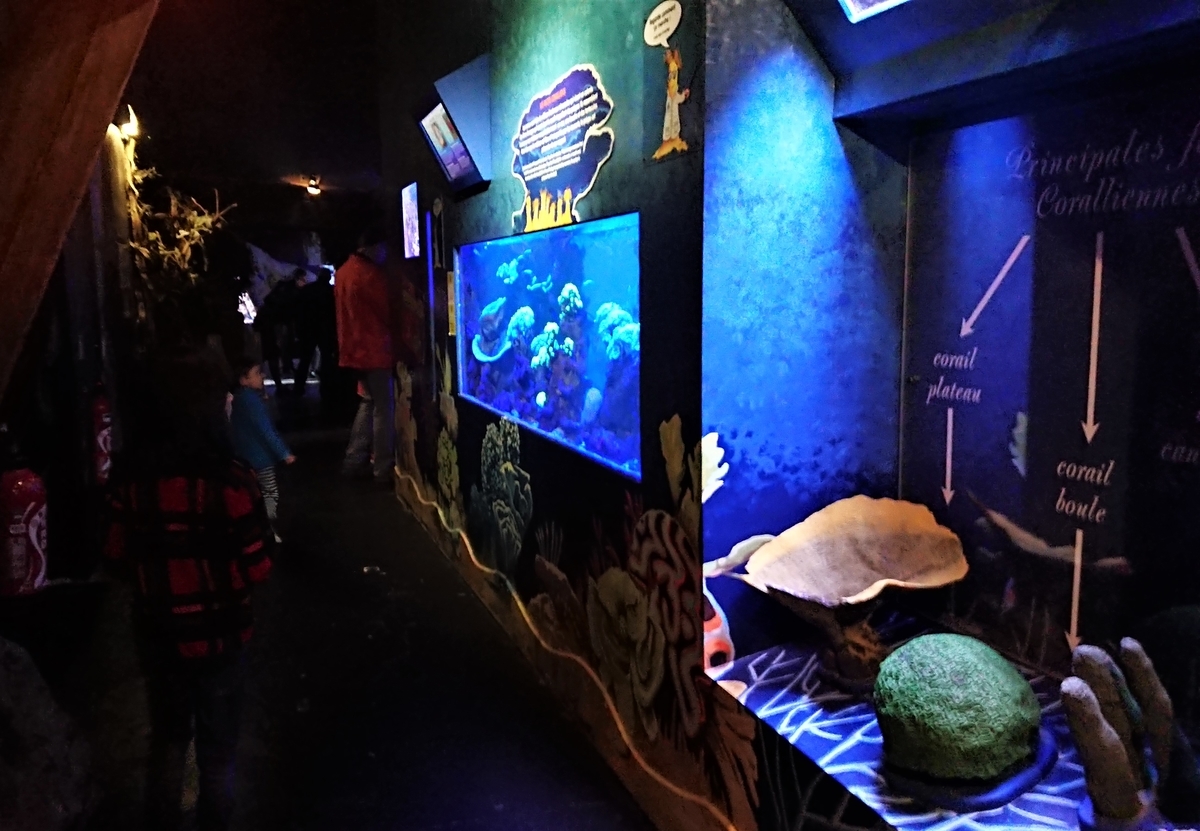 SEA LIFE Val d'Europe