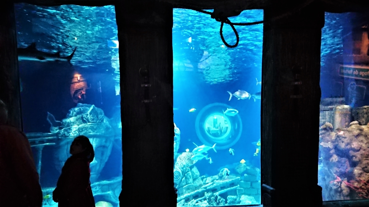 SEA LIFE Val d'Europe