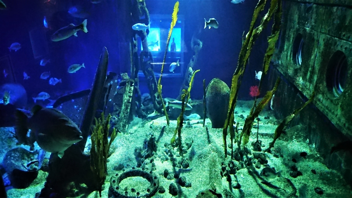 SEA LIFE Val d'Europe