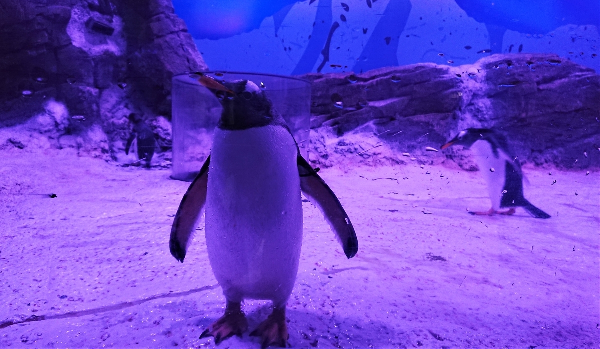SEA LIFE Val d'Europe