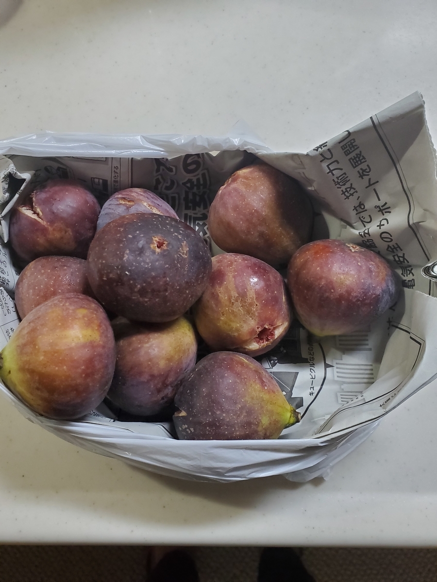 f:id:Akiko-Room:20211103100051j:plain