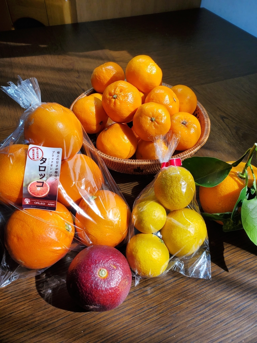 f:id:Akiko-Room:20220404022647j:plain