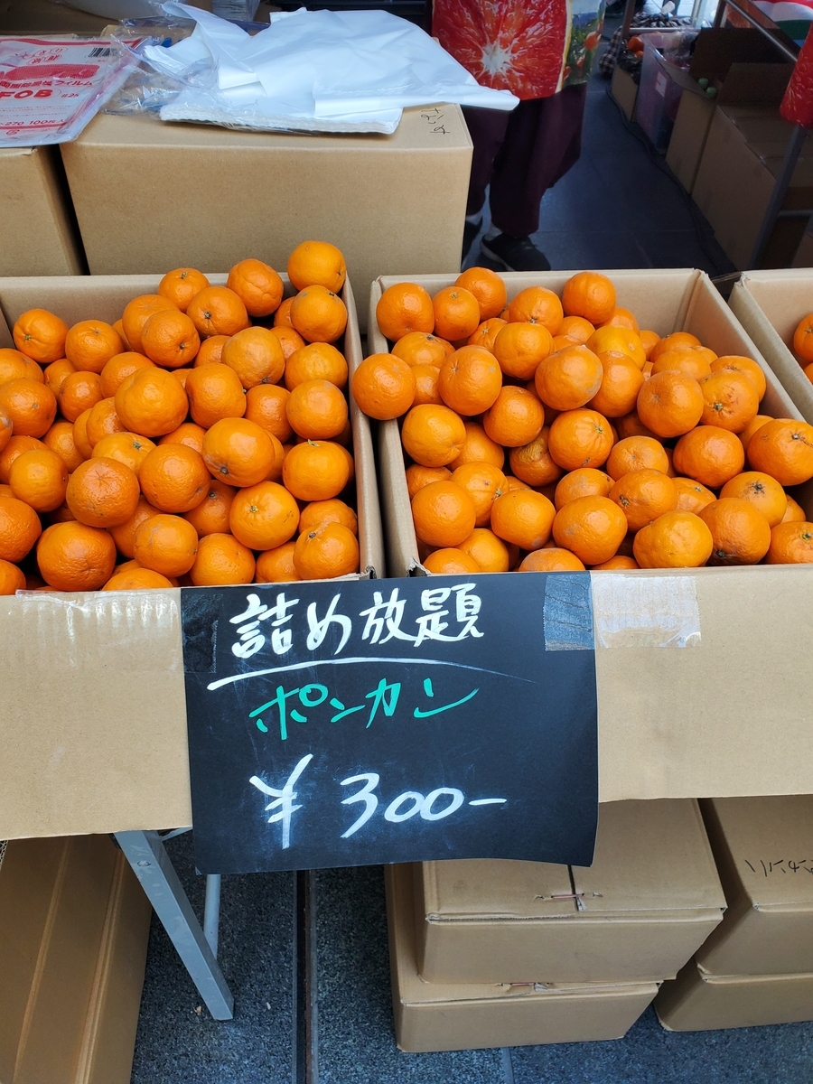 f:id:Akiko-Room:20220404023215j:plain