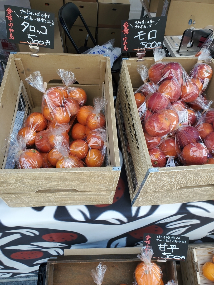 f:id:Akiko-Room:20220404023507j:plain