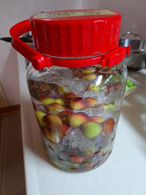 f:id:Akiko-Room:20240605003926j:image