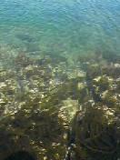 f:id:Akimbo:20050405130730:image