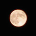 f:id:Akimbo:20050718202627j:image