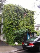 f:id:Akimbo:20050805071201j:image