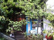 f:id:Akimbo:20050805071235j:image