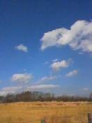 f:id:Akimbo:20051127120659j:image f:id:Akimbo:20051127120659j:image