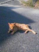 f:id:Akimbo:20061022093352j:image