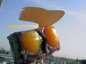 f:id:Akimbo:20070526154206j:image