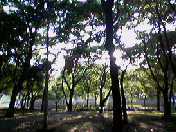f:id:Akimbo:20070613175648j:image