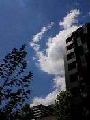 f:id:Akimbo:20070615134633j:image
