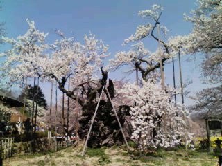 f:id:Akimbo:20080406115832j:image