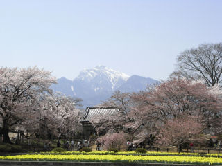 f:id:Akimbo:20080406122442j:image f:id:Akimbo:20080406122442j:image