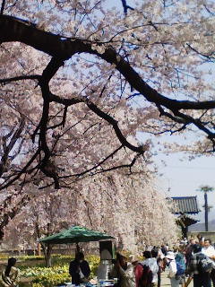 f:id:Akimbo:20080406123014j:image
