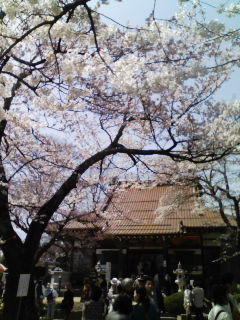 f:id:Akimbo:20080406123132j:image