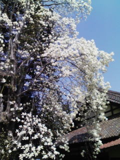f:id:Akimbo:20080406124039j:image f:id:Akimbo:20080406124039j:image