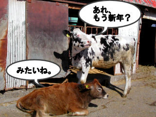 f:id:Akimbo:20090103023650j:image