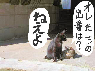 f:id:Akimbo:20090103104349j:image