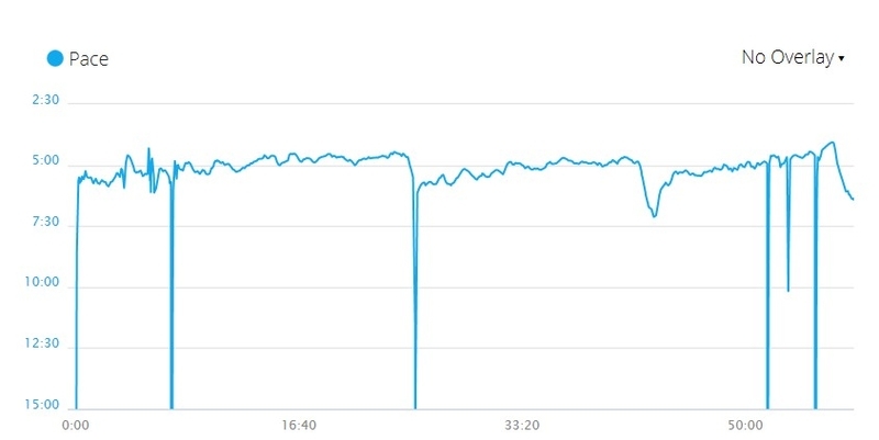 garmin connect