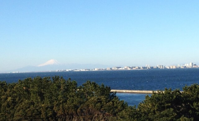 f:id:Akinoponn:20210519170137j:plain