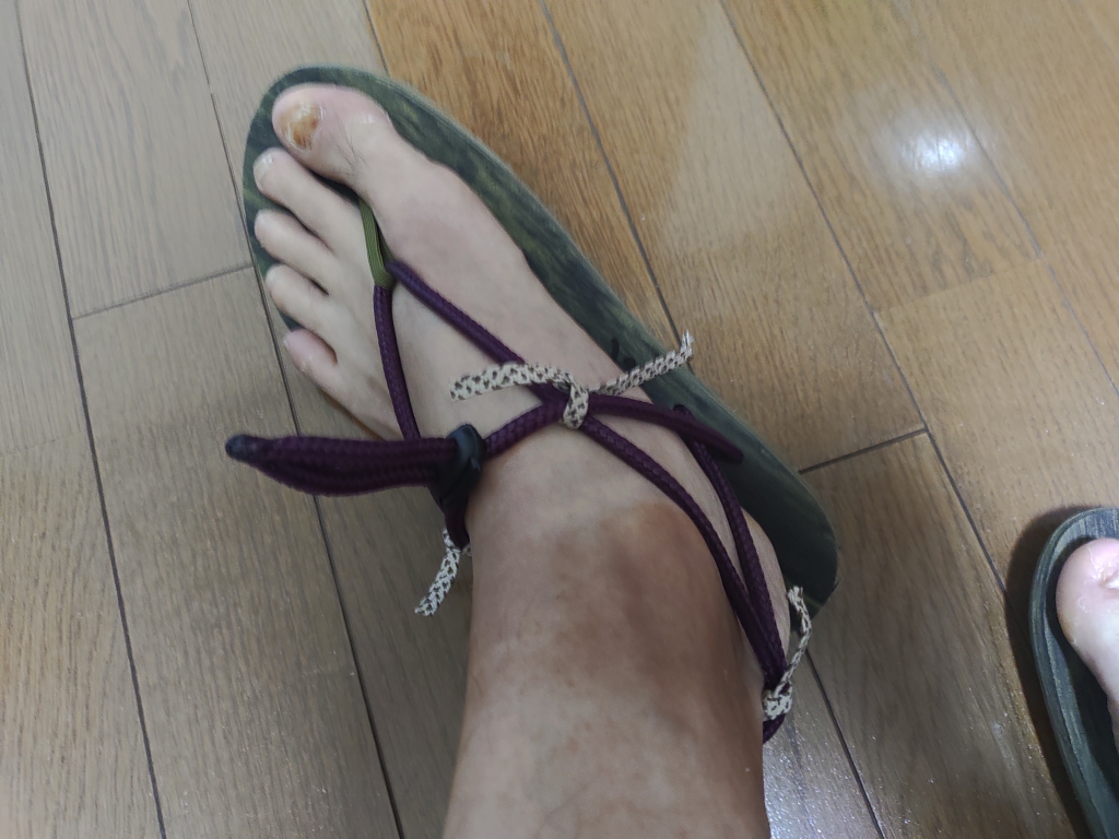f:id:Akinoponn:20210601213312j:plain