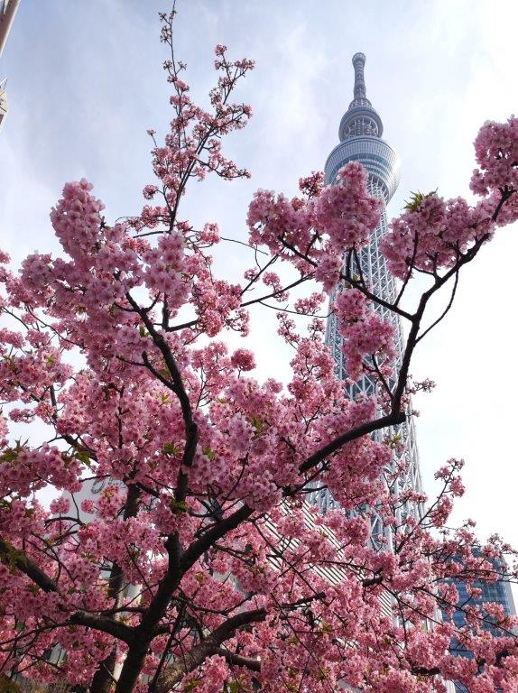 f:id:Akinoponn:20220323142306j:plain