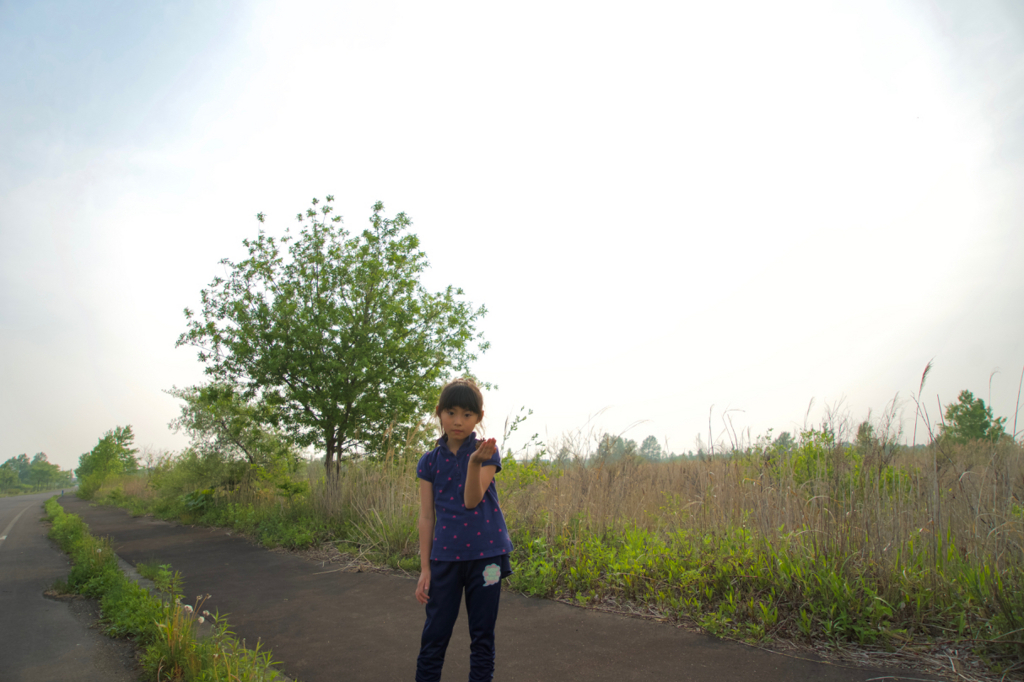 f:id:Akinorider:20170531160844j:plain
