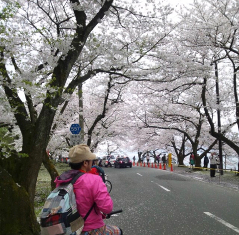 f:id:Akiocchi:20190622222139j:plain
