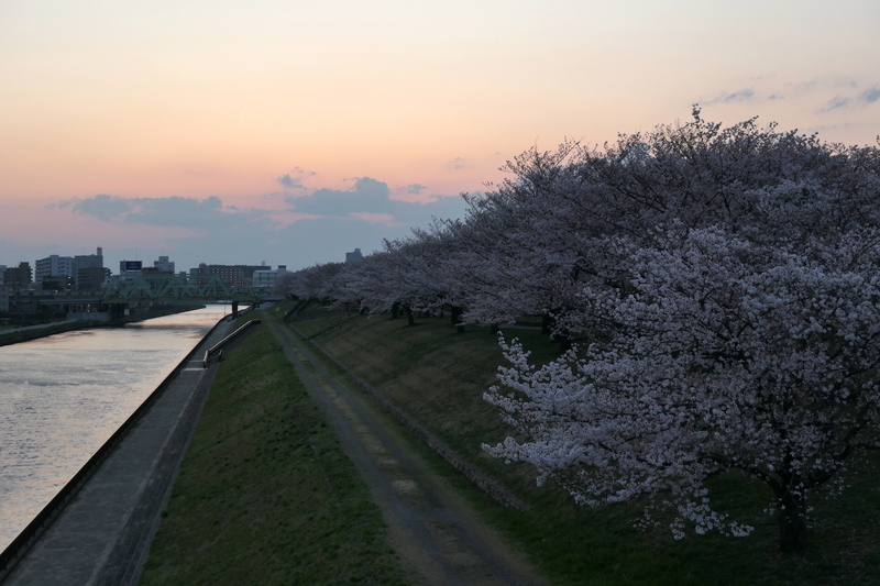 f:id:AkiraT66:20200407011334j:plain f:id:AkiraT66:20200407011334j:plain