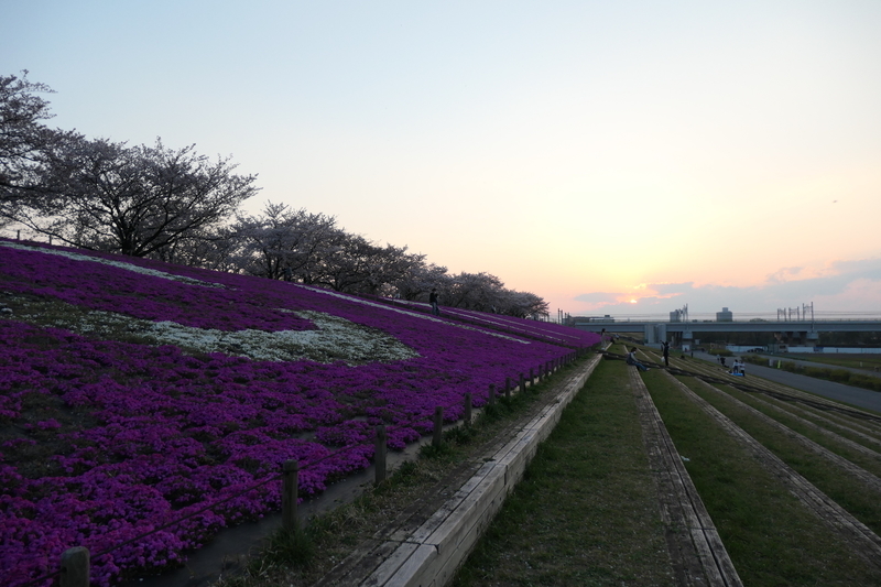 f:id:AkiraT66:20200407011443j:plain f:id:AkiraT66:20200407011443j:plain